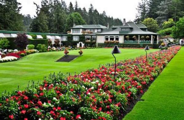 學習國外苗木行業經驗，搶先了解國內市場動態