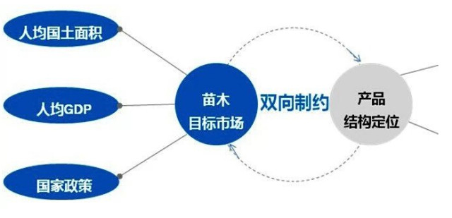 學習國外苗木行業經驗，搶先了解國內市場動態