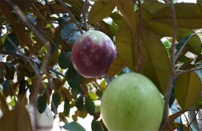 1586262741340661.jpg 1586262741340661.jpg