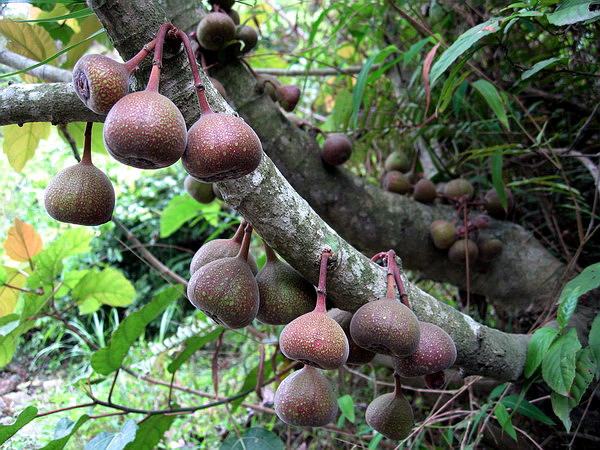 1586262899389985.jpg 1206808714358_mthumb20-34-22-.jpg