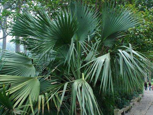 1586263581554252.jpg 1586263581554252.jpg