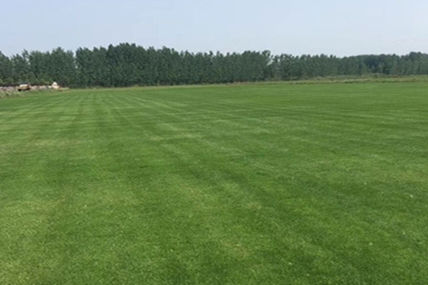 1647573917484974.jpg 1647573917484974.jpg