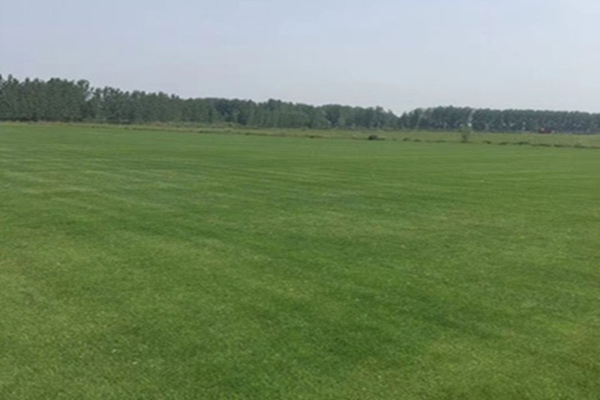 1647573917866159.jpg 1647573917866159.jpg