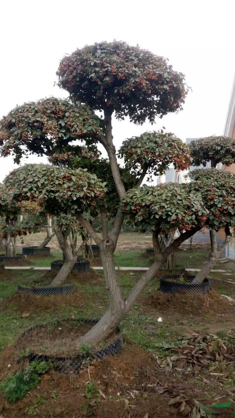 1648545816610619.jpg 1648545816610619.jpg