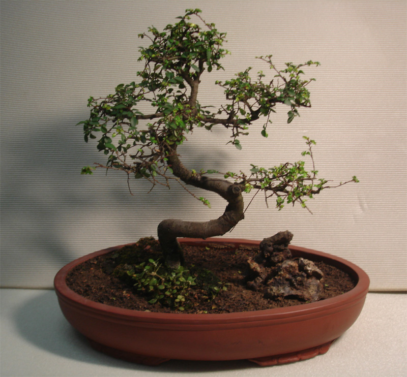 1648602620256473.jpg 1648602620256473.jpg