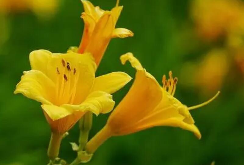 1649039924182782.jpg 1649039924182782.jpg