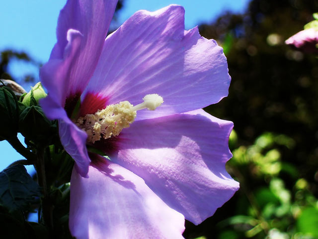 1650627875209094.jpg 1650627875209094.jpg