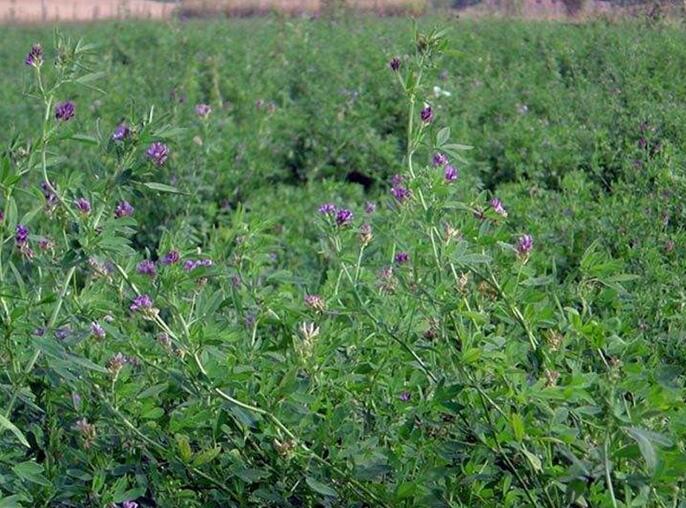 1651544257333022.jpg 1651544257333022.jpg