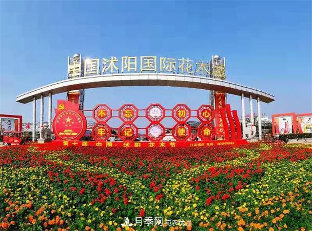 值得收藏！這些全國著名苗木產(chǎn)地你知道幾個？