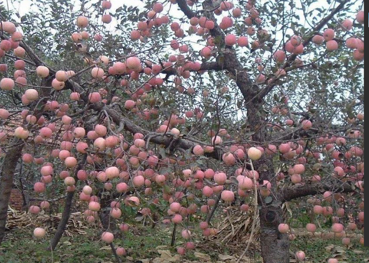 1660338287759850.png image.png