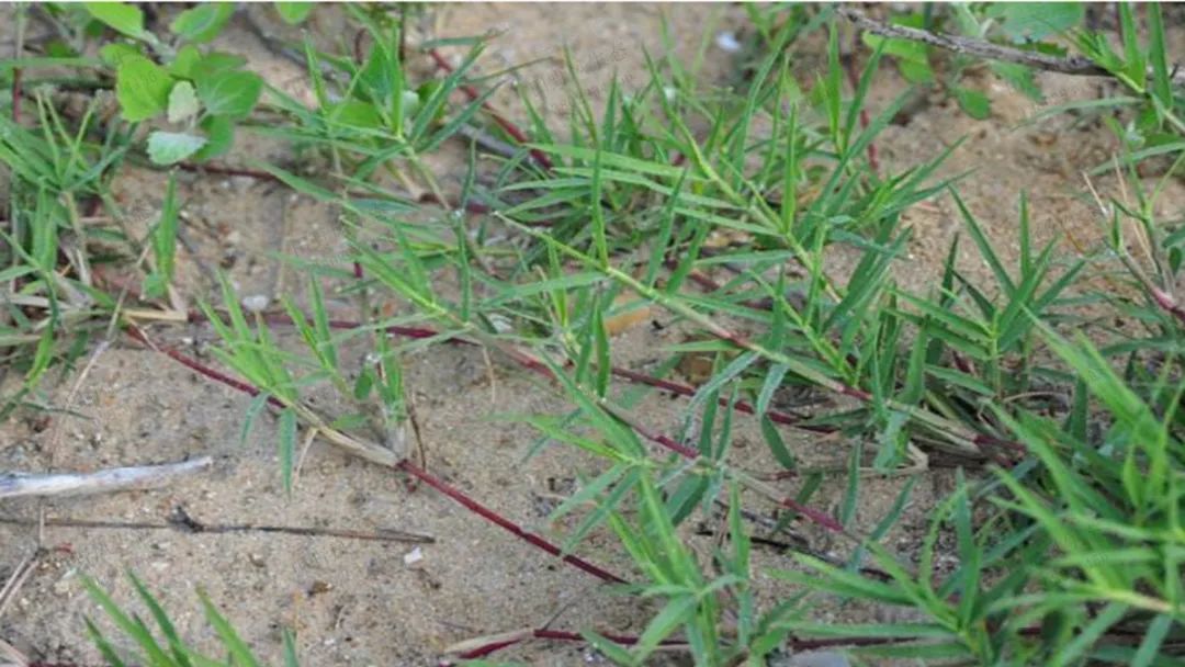 1672622205871775.jpg 微信圖片_20220820070557.jpg