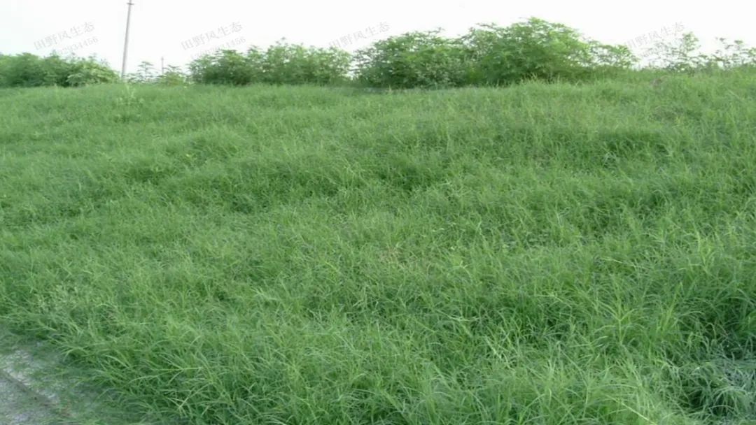 1672622213722512.jpg 微信圖片_20220820070600.jpg