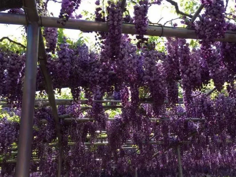 1672623045466205.jpg 微信圖片_20220818221332.jpg