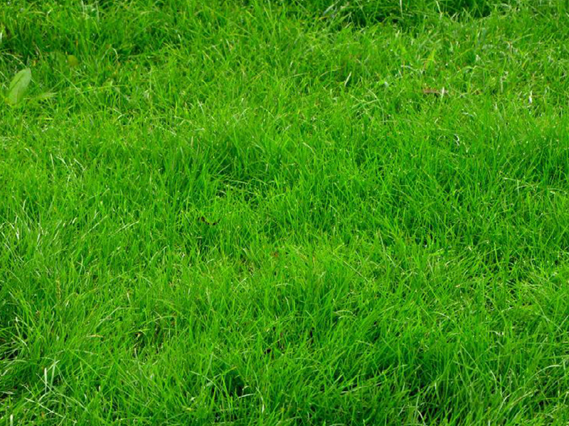 1672623142344487.jpg 微信圖片_20220820074250.jpg