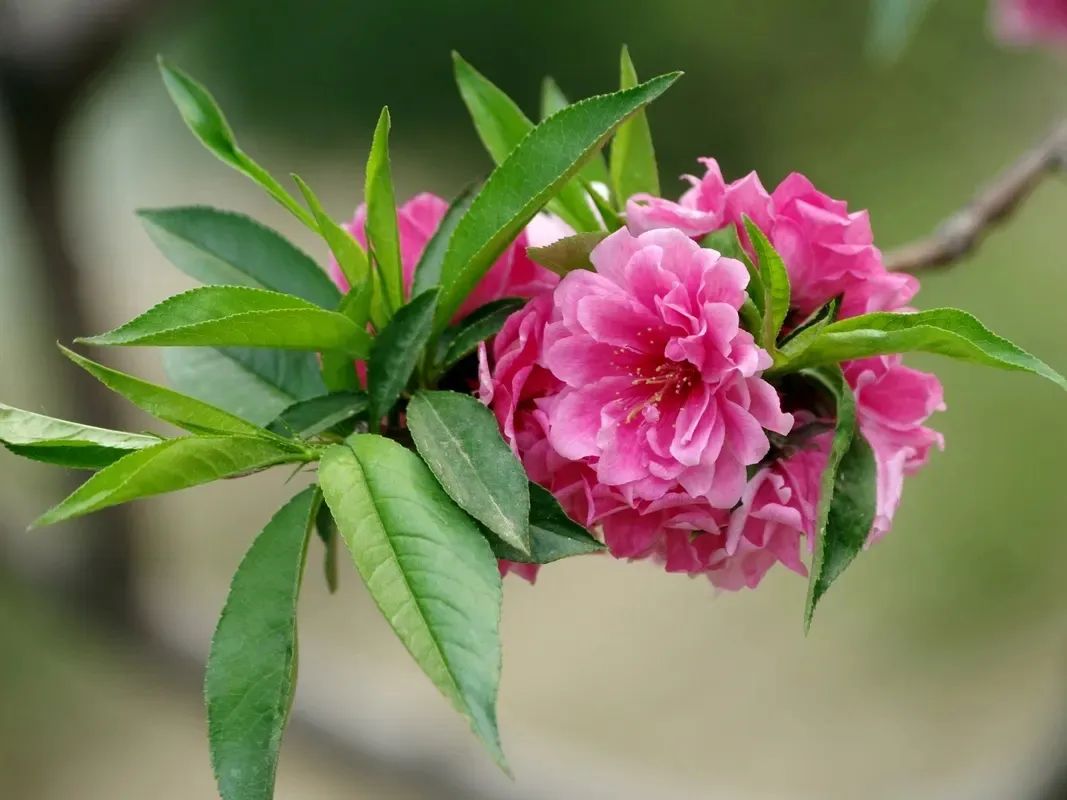 1672650655157598.jpg 微信圖片_20230102170949.jpg