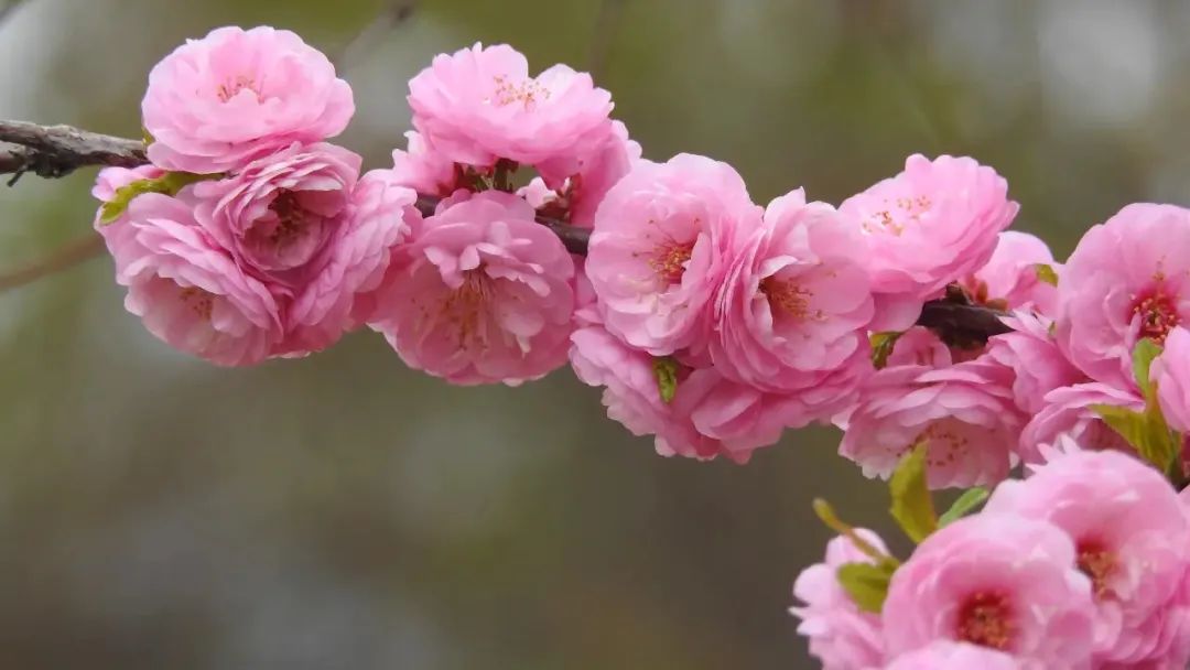 1672650662868294.jpg 微信圖片_20230102170951.jpg