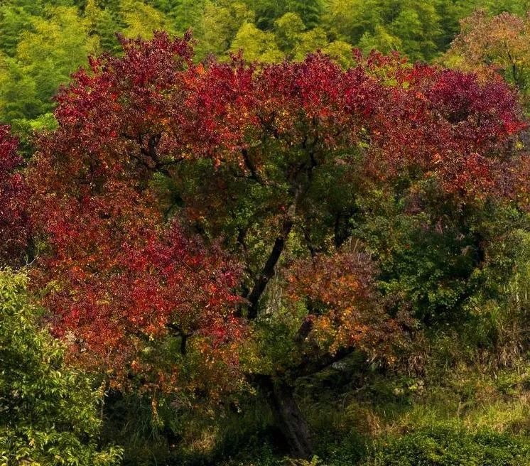 1672662751261932.jpg 微信圖片_20221101145419.jpg