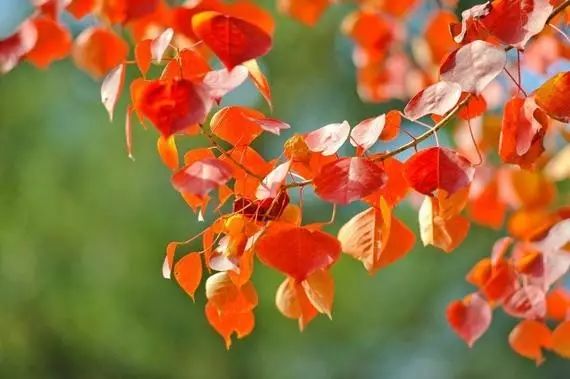 1672662774881536.jpg 微信圖片_20221101145530.jpg