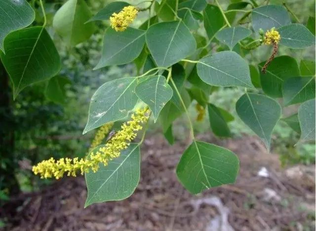 1672662782949336.jpg 微信圖片_20221101145536.jpg