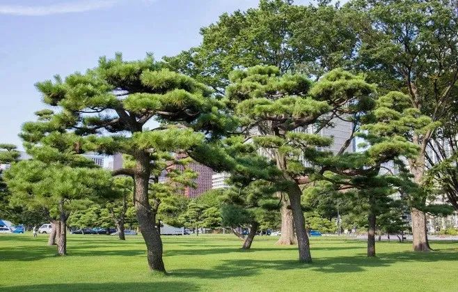 1673144788172607.jpg 微信圖片_20221029115954.jpg