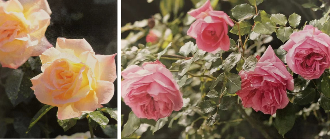 1673145013817923.png 微信圖片_20230107200254.png