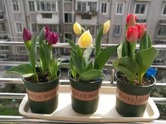 1673145133230073.jpg 微信圖片_20230108103132.jpg