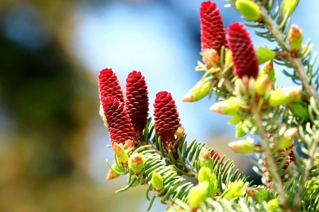 1673146666594595.jpg 微信圖片_20230108105619.jpg