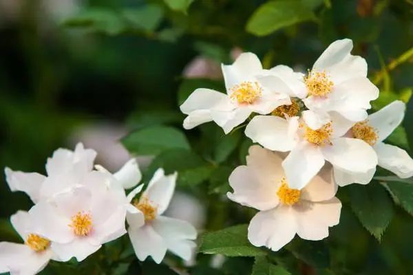 1673148161815196.jpg 微信圖片_20230108112106.jpg