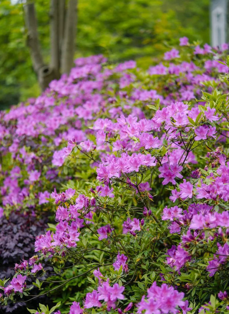 1673150827172315.jpg 微信圖片_20230108120528.jpg