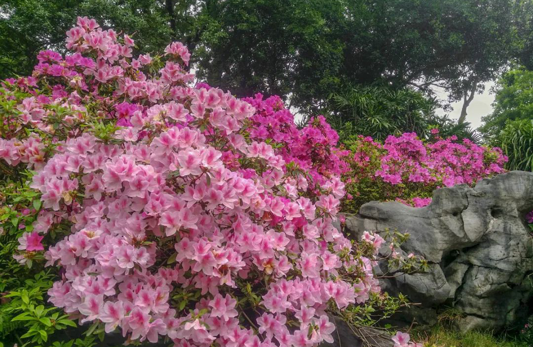 1673150836476274.jpg 微信圖片_20230108120536.jpg