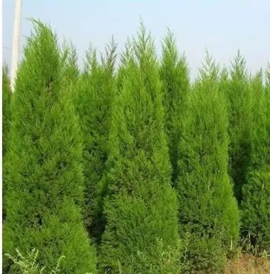 1673150894609934.jpg 微信圖片_20230107194007.jpg