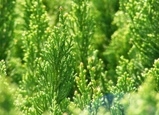 1673150904425530.jpg 微信圖片_20230107193620.jpg