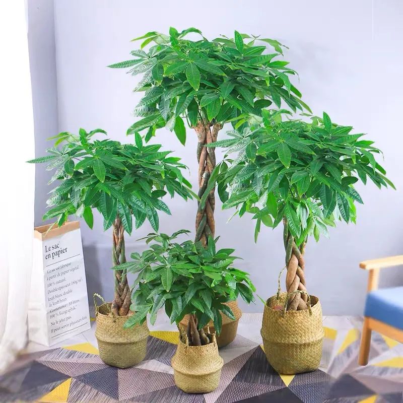 1673151395477822.jpg 微信圖片_20230108121434.jpg