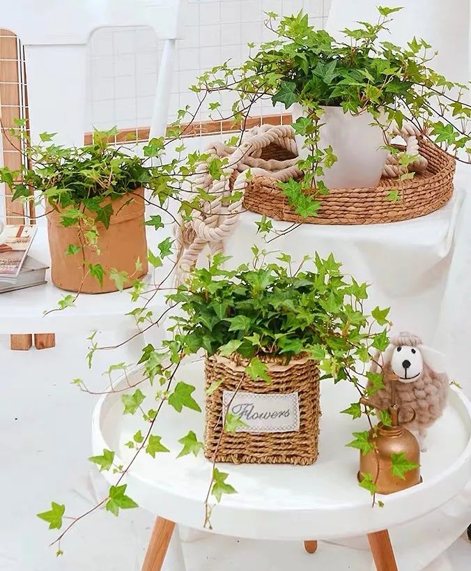 1673356408470908.jpg 微信圖片_20230110211236.jpg