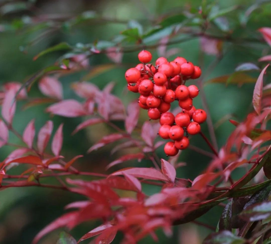 1673385419517478.jpg 微信圖片_20230111051547.jpg