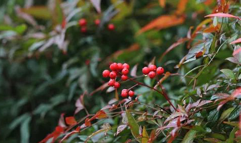 1673385439816188.jpg 微信圖片_20230111051552.jpg