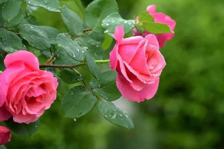 1673385677867631.jpg 微信圖片_20221126211640.jpg