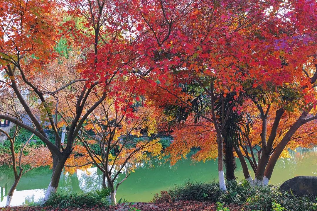 1673529966953378.jpg 微信圖片_20230112212513.jpg