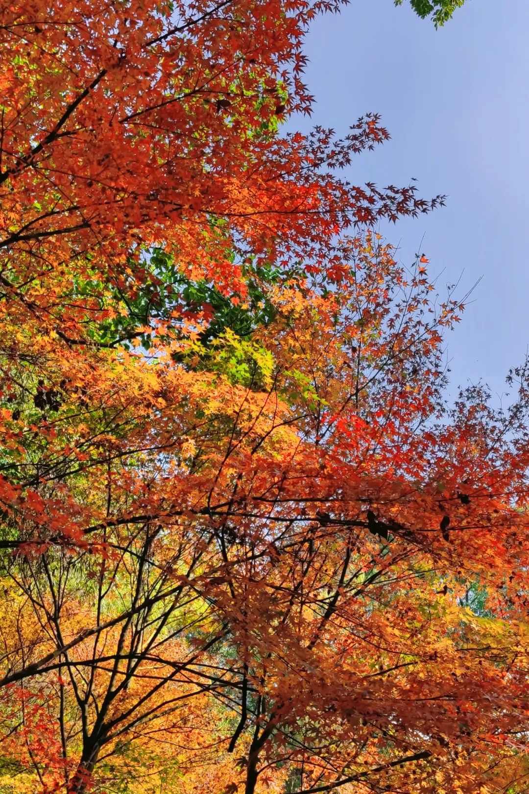 1673529976833960.jpg 微信圖片_20230112212508.jpg