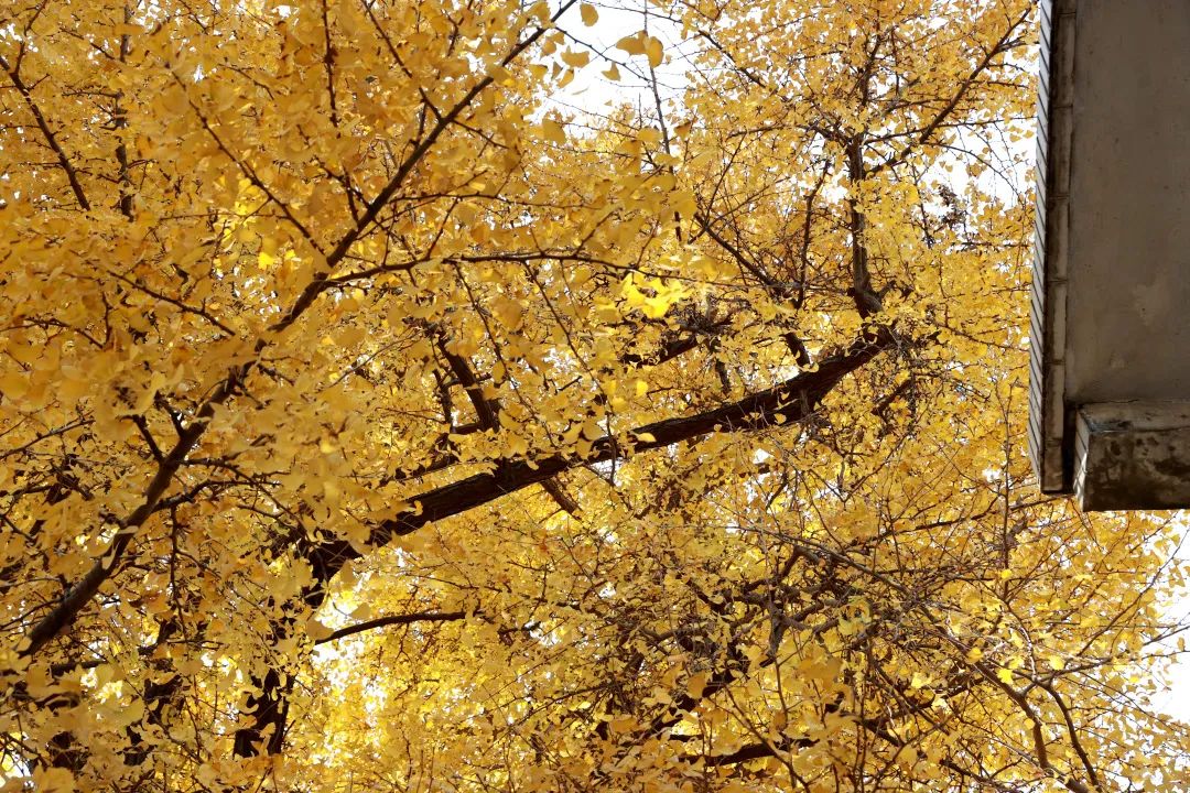 1673530125575393.jpg 微信圖片_20230112212807.jpg