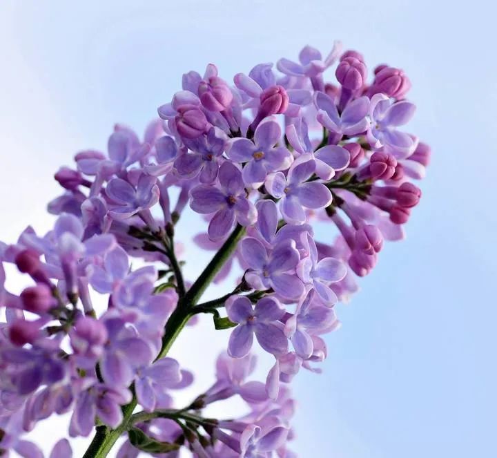 1673558097171710.jpg 微信圖片_20221104193404.jpg