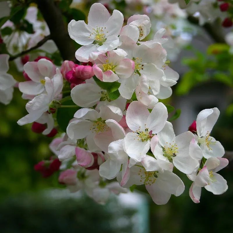 1673779478818527.jpg 微信圖片_20221128204901.jpg