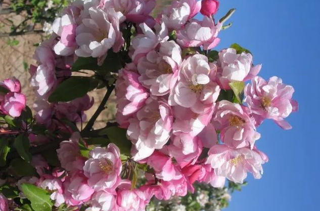 1673779561980431.jpg 微信圖片_20221128204924.jpg