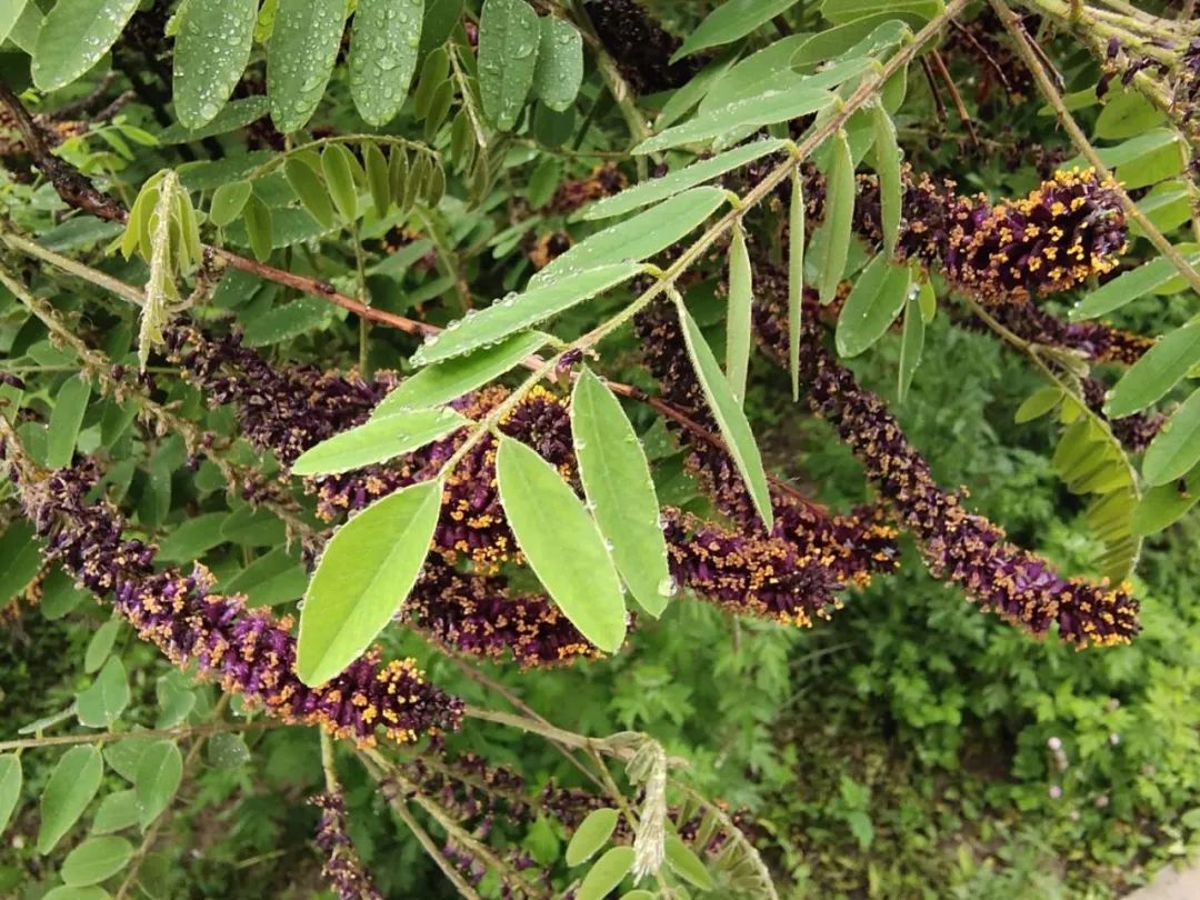 1673779702814407.jpg 微信圖片_20221126002600.jpg