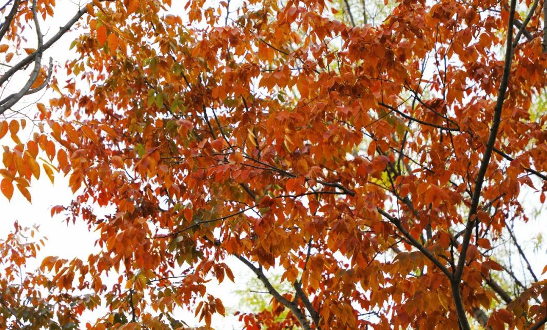 1673780034204236.jpg 微信圖片_20230115185228.jpg