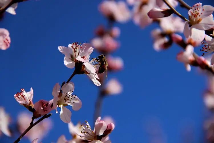 1673780207456339.jpg 微信圖片_20230115185558.jpg