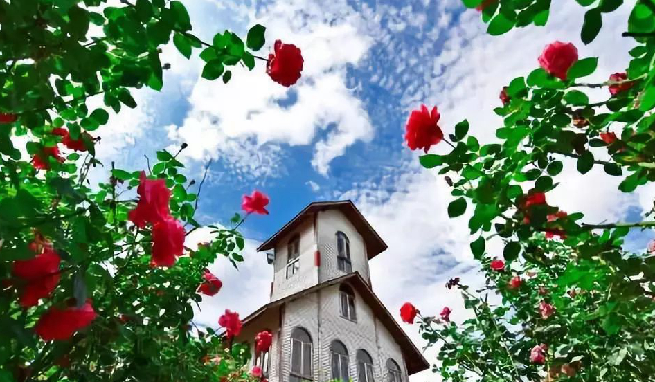 1673780577919247.jpg 微信圖片_20230115190024.jpg