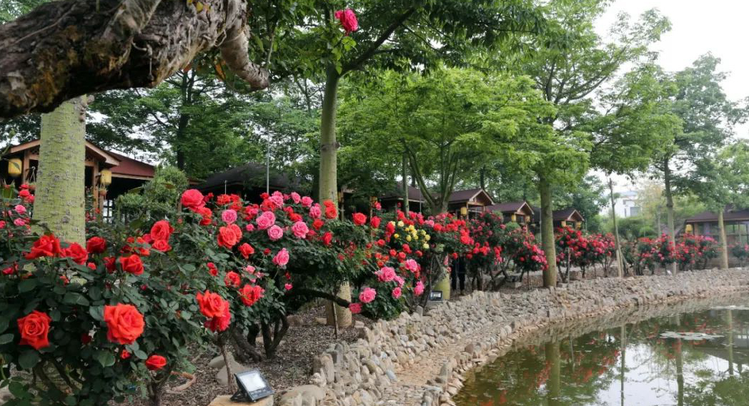 1673780601749397.jpg 微信圖片_20230115190101.jpg