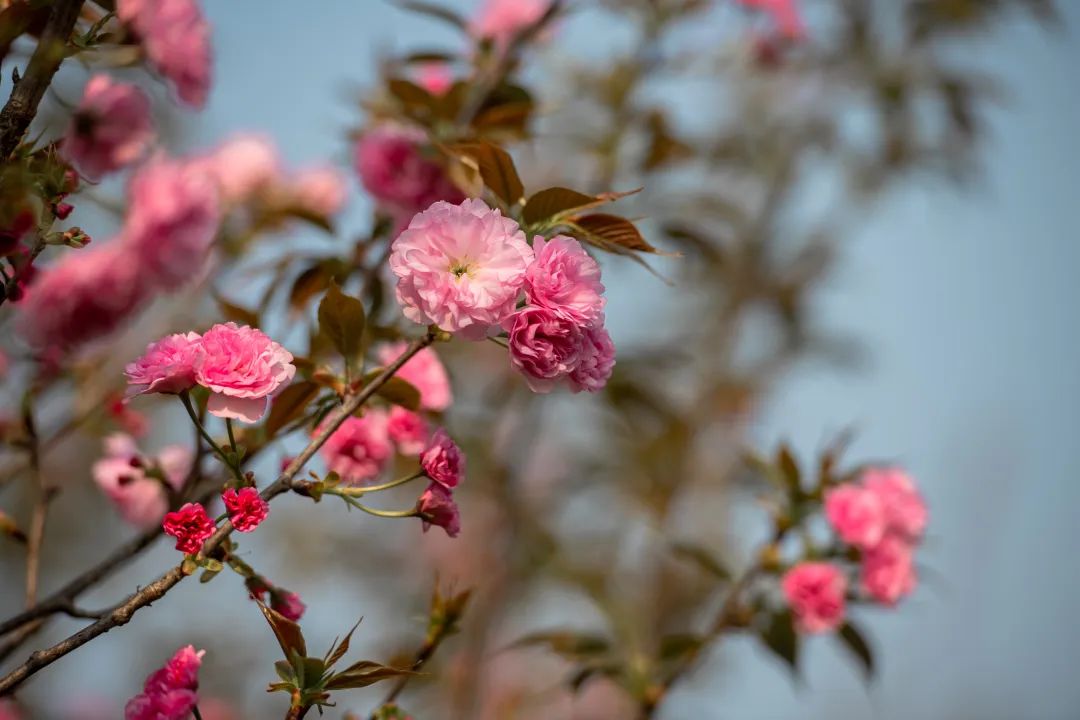 1673780737542158.jpg 微信圖片_20221101160125.jpg