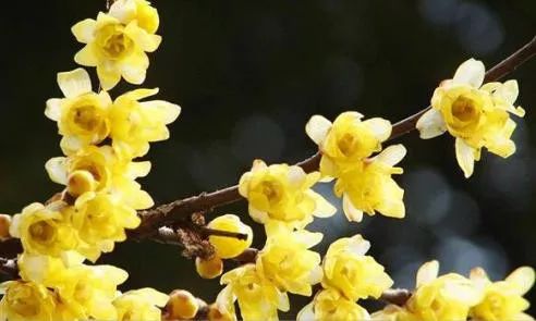 1673780793870995.jpg 微信圖片_20221120163350.jpg